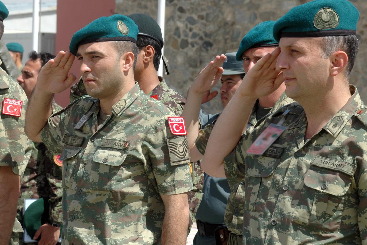 rat
