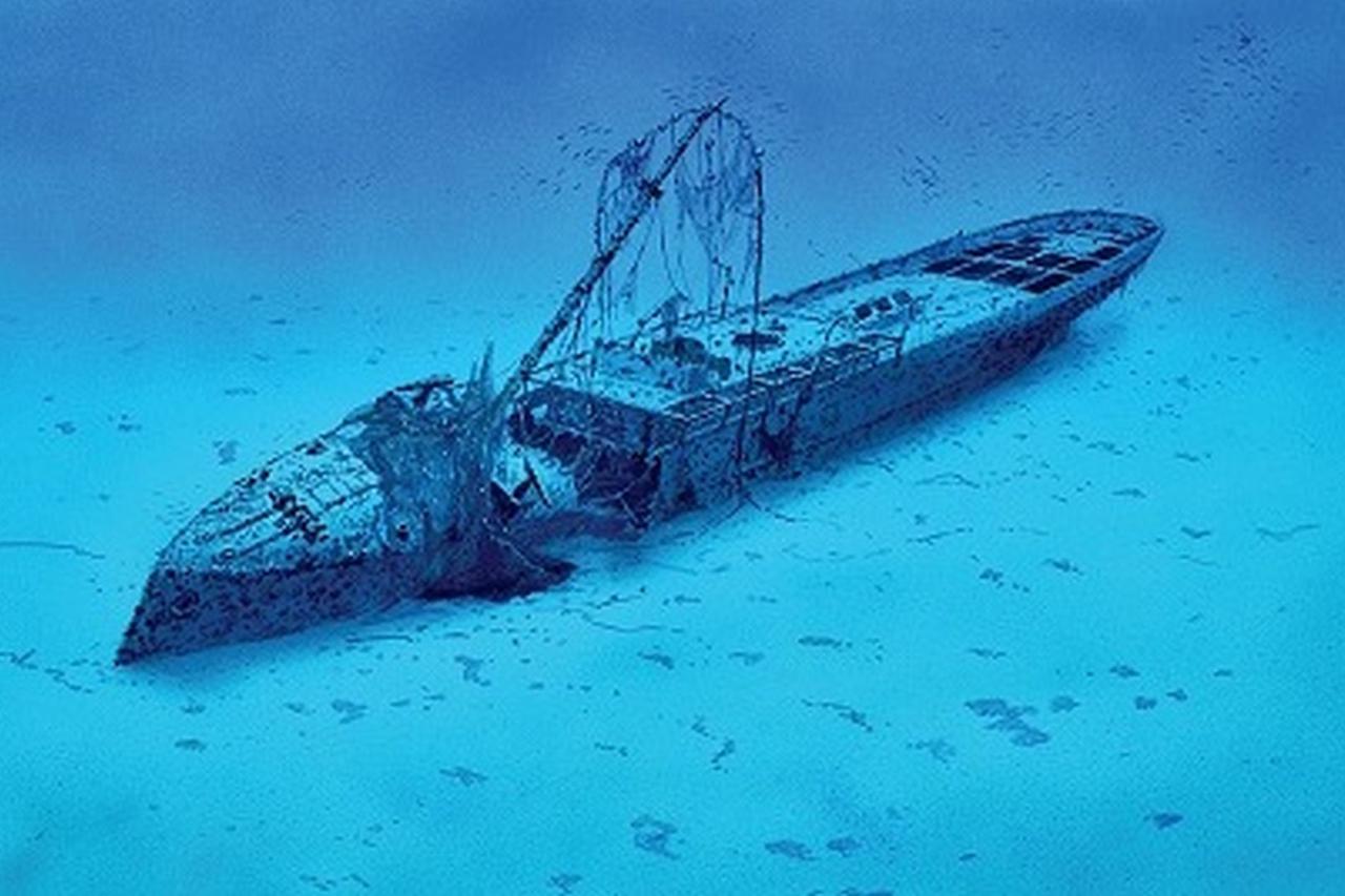 Blago Jadrana - ronilački vodič po olupinama Jadrana