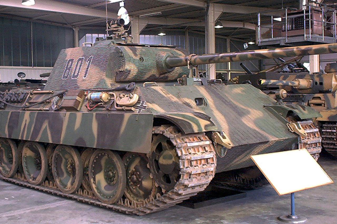 panther